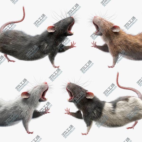 images/goods_img/20210312/Rats Collection (Rigged) 3D model/1.jpg